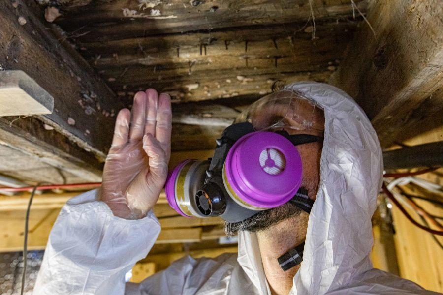 a technician wearing safety gear inspecting termite damage in a home - Keep termites away from your home with SOS Exterminating in Gilbert AZ