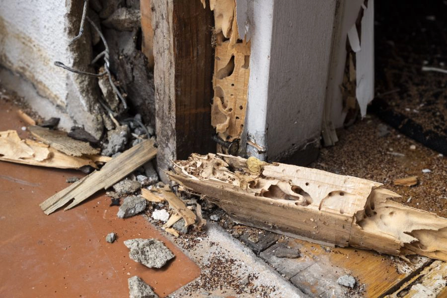 Severe termite damage the interior of a wall inside a home - Prevent termite damage to your home with SOS Exterminating in Gilbert AZ