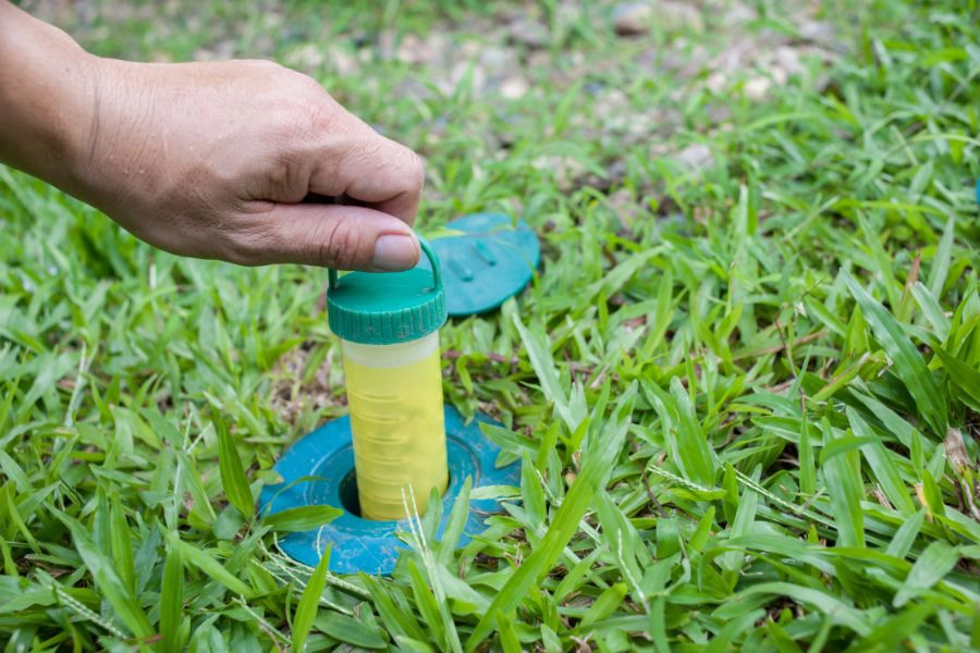 A person placing a termite baiting system outside - Treat termite infestations in your home with SOS Exterminating in Gilbert AZ