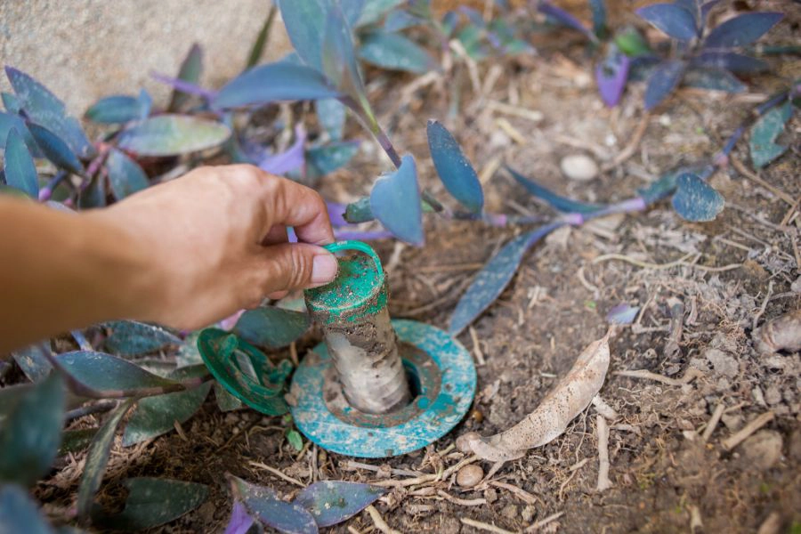 A person placing a termite baiting system in a garden - Prevent termites with SOS Exterminating in Gilbert AZ