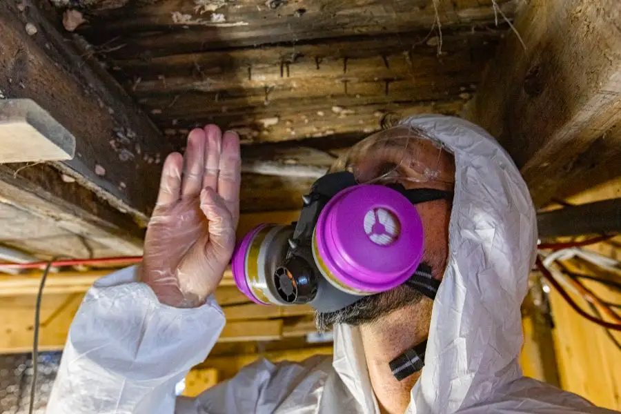 Exterminator inspecting underneath a deck - keep termites away with SOS Exterminating serving Phoenix Metro & Northern Arizona