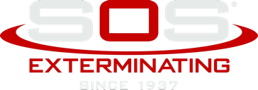 SOS Exterminating – Termite & Pest Management in Phoenix, Gilbert AZ