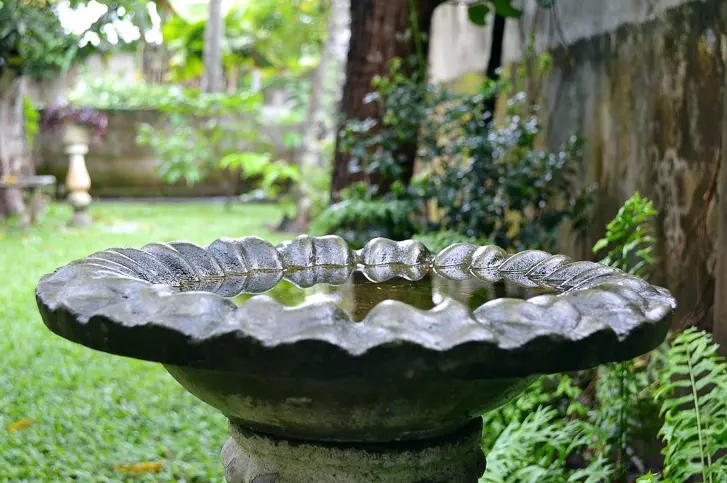 Bird bath filled with standing water | SOS Exterminating serving Gilbert, Arizona